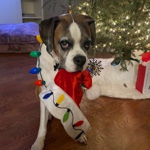 Meet your Posher, Leticia